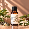 Craft House Fragrance Oils - White Tea