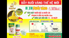 Bẫy Ruồi Vàng - Dr. Jean