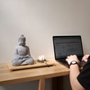 Tượng Thích Ca áo xám