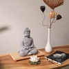 Tượng Thích Ca áo xám