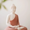 Tượng Thích Ca áo hồng