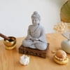 Tượng Thích Ca áo xám