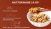 Nattokinase Là Gì? Công Dụng Và Ai Không Nên Dùng Nattokinase