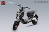 Đen bạc bóng
