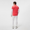 ÁO POLO DARIO PRINT