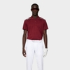 ÁO POLO LIONEL REG FIT