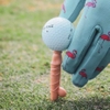 DICK GOLF TEES