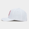 NÓN SKULLS & STRIPES STRETCH TWILL SNAPBACK
