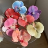 Kẹp tóc Hoa Lan Hồ Điệp