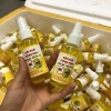 Diệt Ruồi Thông Minh 100ML - Ko Bao Bể VC (T380) - (Chai)
