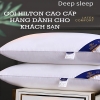 BỘ ĐÔI GỐI MÀU HILTON RESORT