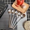 Bộ thìa, muỗng Zwilling 5 chiếc chính hãng Sang Trọng, Cao Cấp fullbox 3