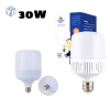 Bóng Đèn Led 30W 1