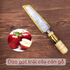 Dao Cắt Trái Cây Cán Gỗ Hàng Trung 3