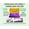 Đệm ngải cứu đông y 3