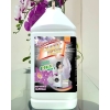 Nước giặt Queen First 9in1 plus 3,6L