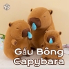 Gấu Bông Capybara Rút Mũi 1
