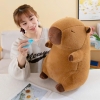 Gấu Bông Capybara Rút Mũi 3