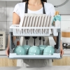 Giá Úp Bát Đĩa 2 Tầng Bằng Nhựa Có Khay Hứng 4