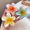 Kẹp Tóc Hoa Sứ2