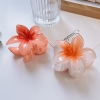 Kẹp Tóc Hoa Sứ3