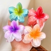 Kẹp Tóc Hoa Sứ5