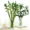 Lọ Hoa Thủy Tinh Họa Tiết Trắng 20CM 3