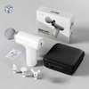 Máy Massage Mini có 4 Đầu Thay Đổi (T30) - (Cái)