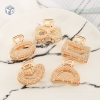 Set 5 Kẹp Tóc Mạ vàng (T200) - (Set)