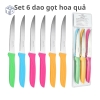 Sét 6 Dao Tỉa Hoa Quả (T144)- (Sét)