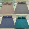 1.6MET: SET LỤA GỒM 1 DRA + 2 VỎ GỐI NẰM COCO 1.6MET (T50) (SÉT)