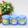 Bộ 3 Hũ Gia Vị 3303 300ML (T36) - Mới (Bộ)