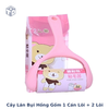 CÂY LĂN BỤI HỒNG GỒM 1 CÁN LÕI + 2 LÕI