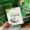 Hộp 12 Miếng Ngải Cứu Đau Cổ Vai Gáy AICAO