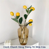 Cành Chanh Vàng Trang Trí Nhà Cửa