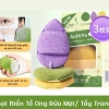 Hộp 3 Miếng Bọt Biển Rửa Mặt (T100) - (Hộp)