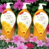 TLT: Sữa Tắm Care 1000ml hoa hồng chai màu vàng - Ko Bao Bể VC (T20) (Chai)