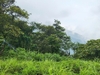 DỊCH VỤ TREKKING – LEO NÚI – VUI CHƠI TẠI VƯỜN QUỐC GIA TAM ĐẢO
