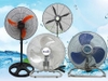 Mua quạt cây công nghiệp