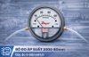 Bộ đo áp suất 2000-80mm