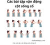 Một Số Bài Tập Vận Động Cột Sống Cổ Hiệu Quả Mà Bạn Nên Biết