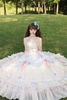 ( Stop Selling ) Princess wedding dress X Platycodon House