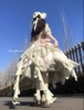 ( Stop Selling ) Green Forest Song X Elsa magic castle