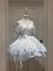( Pre Order) Swan Lake X Flight Diary