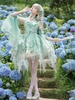( Pre Order ) Wings of the Green Bird by Wuyu Letter