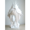Swan feathers A10