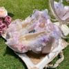 ( Pre Order 15 - 30 days ) Dream Catcher X Qimeng