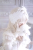 Swan feathers A10