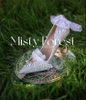 Crystal shoes with stones X Misty Forest