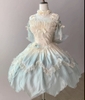 ( Stop Selling ) Dance among the flower petals X Elsa's magical castle